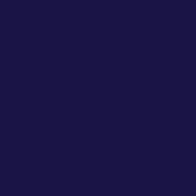 Head of Advertising & Social Media, Global Airline